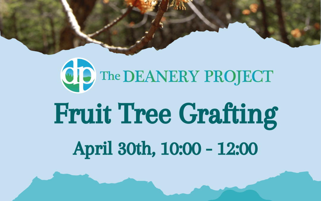 Fruit Tree Pruning Workshop